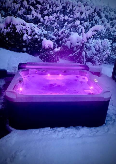 Androsace Appartement Dans Chalet Bois Avec Jacuzzi Privatif Terrasse Et Vue Montagne Les Villards-sur-Thones Exterior photo